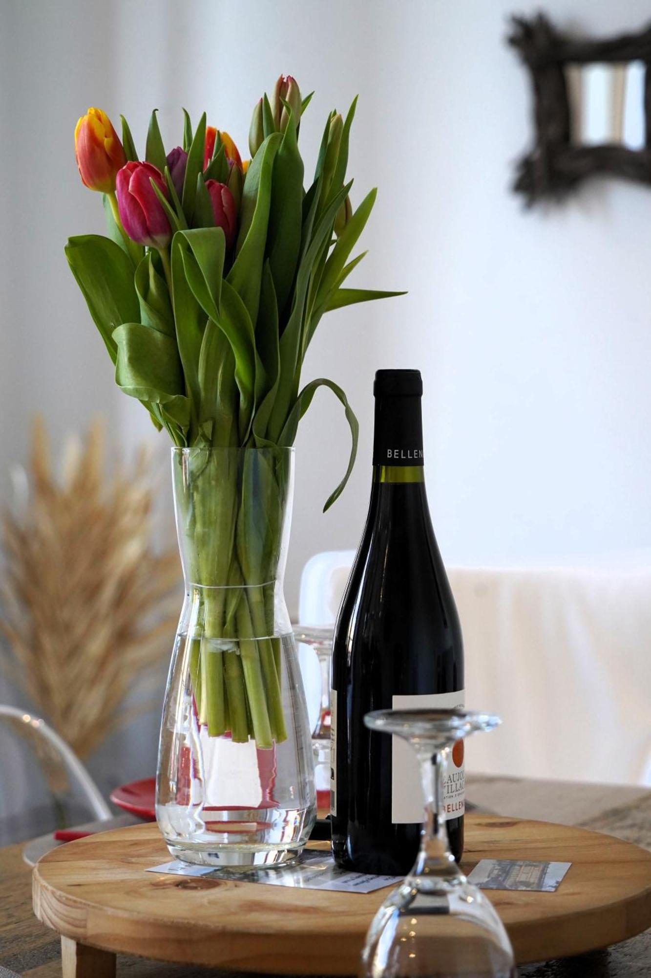 Apartament La Magie De Carnot Meuble De Tourisme 3 Etoiles Carcassonne Zewnętrze zdjęcie