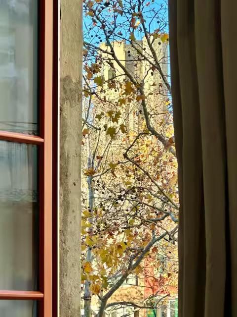 Apartament La Magie De Carnot Meuble De Tourisme 3 Etoiles Carcassonne Zewnętrze zdjęcie